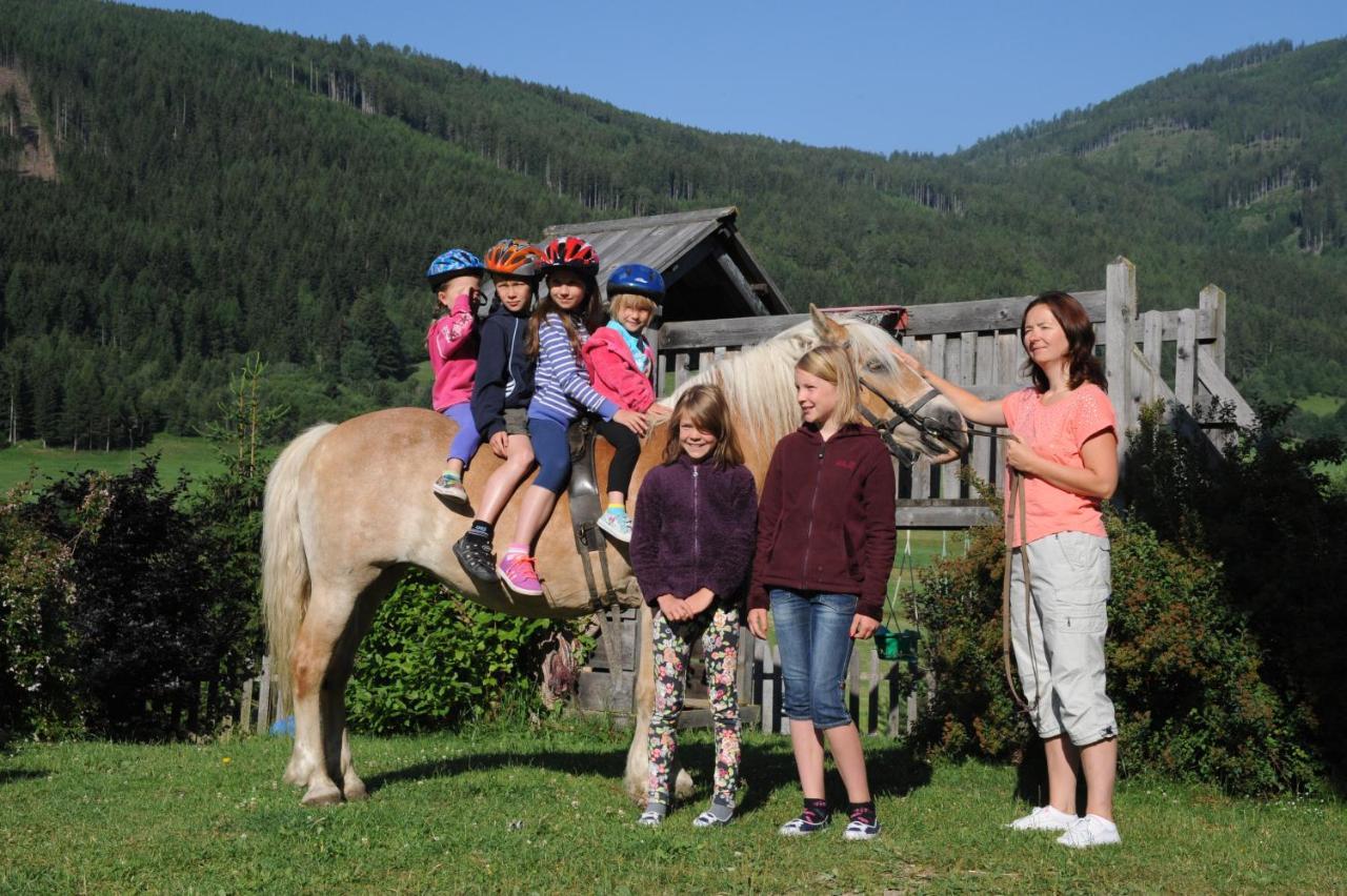 Hansalagut Mauterndorf  Bagian luar foto