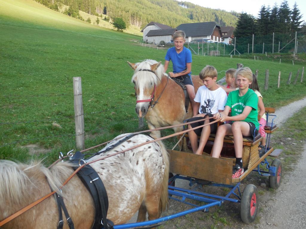 Hansalagut Mauterndorf  Bagian luar foto