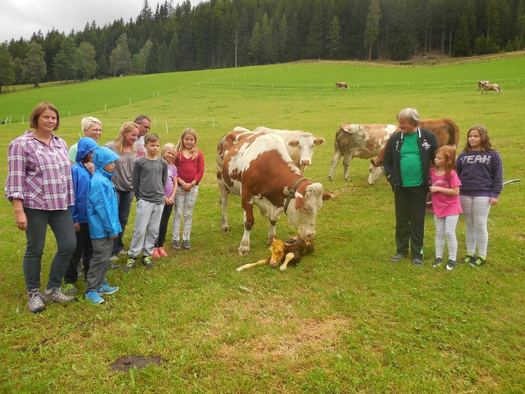 Hansalagut Mauterndorf  Bagian luar foto